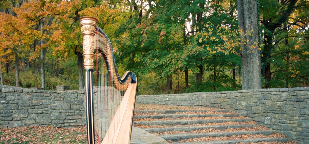 Harp